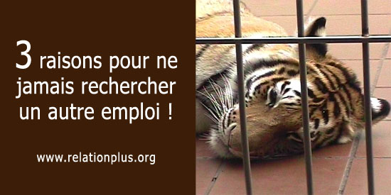 Rechercher un emploi