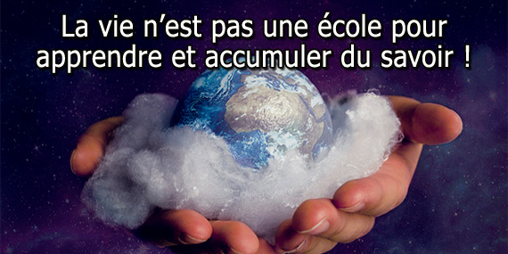 Comprendre la création et la vie