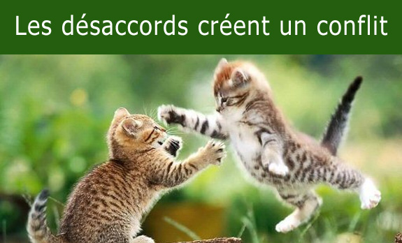 Problème et desaccord