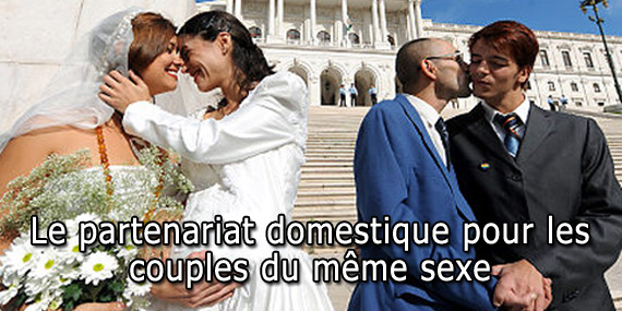 Partenariat domestique couple du même sexe